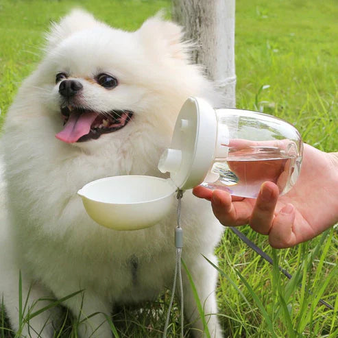 Foldable And Portable Pet Cat And Dog Outdoor Drinking Glass Pet Products ( UAE Delivery Time: 1-3 Days)
