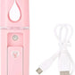 Mini Facial Steamer  ( UAE Delivery Time: 1-3 Days )