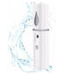 Mini Facial Steamer  ( UAE Delivery Time: 1-3 Days )