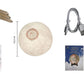 Quran Moon Light Lamp ( UAE Delivery Time: 1-3 Days )