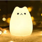 Squishy Cat Light (  UAE Delivery Time: 1-3 Days )